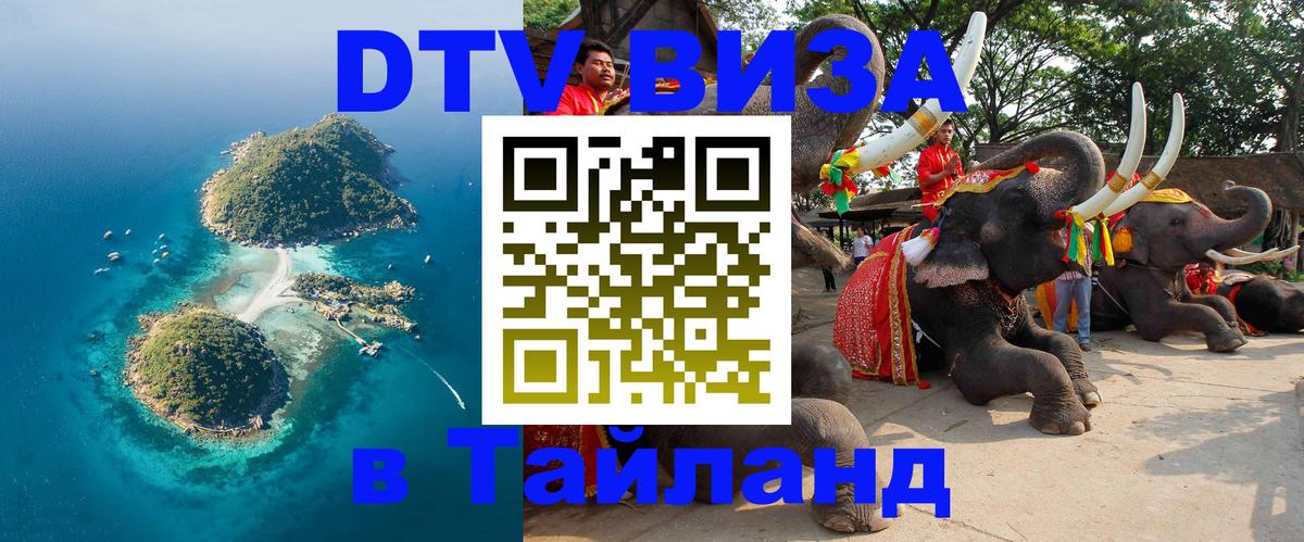 Оформление DTV визы под ключ: стоимость и тарифы, только загранпаспорт - 